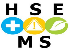 HSE-MS